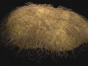 Haystack and Straw on Earth Model 3D
