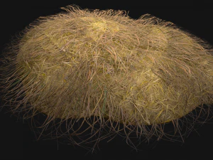 Haystack and Straw on Earth 3D Model
