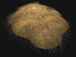 Haystack and Straw on Earth Model 3D