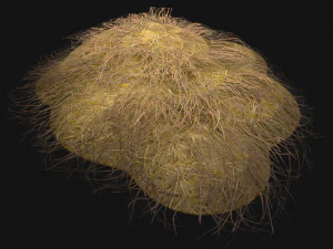 Haystack and Straw on Earth 3D Model