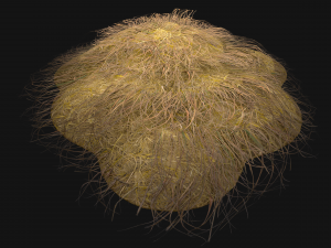Haystack and Straw on Earth Model 3D