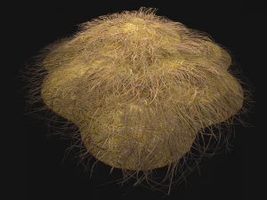 Haystack and Straw on Earth 3D Model