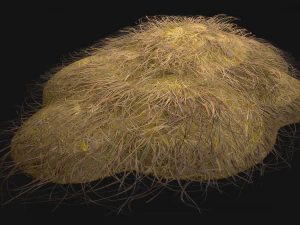 Haystack and Straw on Earth 3D Model
