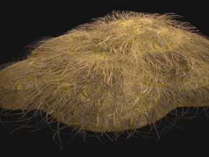 Haystack and Straw on Earth Model 3D