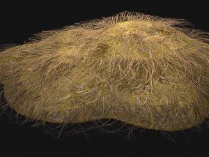 Haystack and Straw on Earth Model 3D