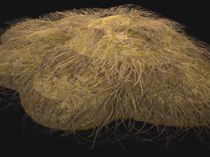 Haystack and Straw on Earth Model 3D