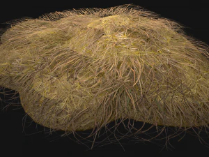 Haystack and Straw on Earth 3D Model