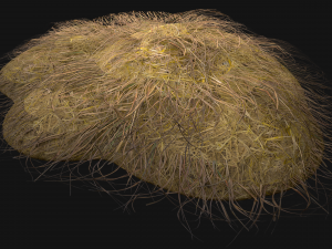 Haystack and Straw on Earth Model 3D
