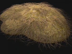 Haystack and Straw on Earth 3D Model