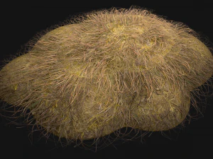 Haystack and Straw on Earth 3D Model