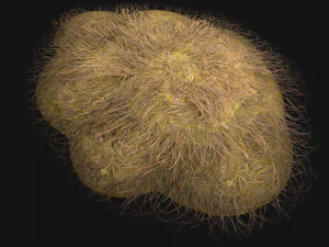 Haystack and Straw on Earth 3D Model