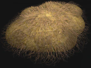 Haystack and Straw on Earth 3D Model