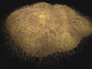 Haystack and Straw on Earth Model 3D