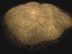 Haystack and Straw on Earth 3D Model