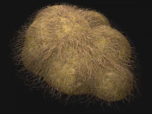 Haystack and Straw on Earth 3D Model