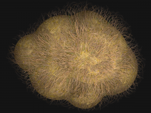 Haystack and Straw on Earth Model 3D