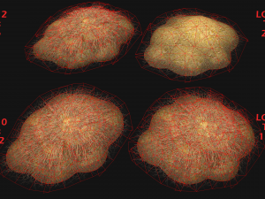 Haystack and Straw on Earth Model 3D