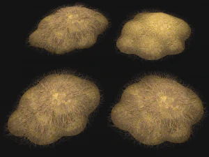 Haystack and Straw on Earth 3D Model