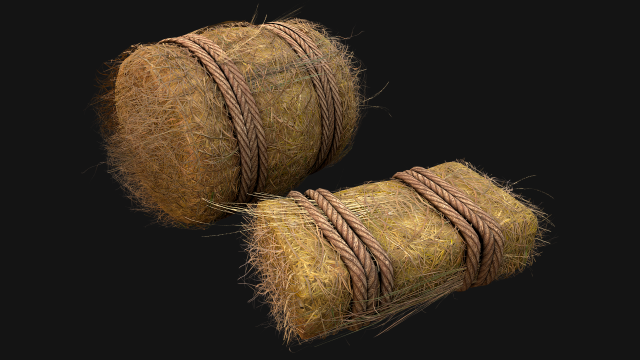 Hay Bale Square and Round 3D Model .c4d .max .obj .3ds .fbx .stl .blend 