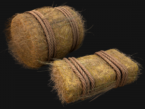 Hay Bale Square and Round 3D-Modell