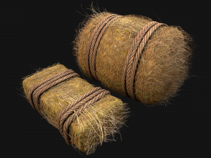 Hay Bale Square and Round 3D Model