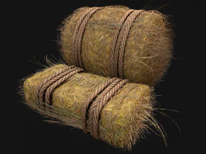 Hay Bale Square and Round 3D Model