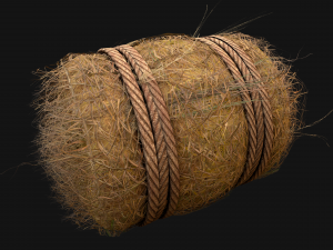 Hay Bale Square and Round 3D Model