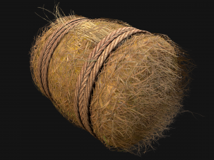 Hay Bale Square and Round 3D Model