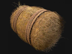 Hay Bale Square and Round 3D Model