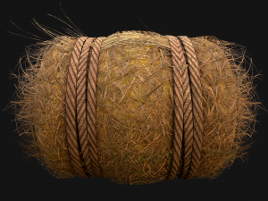 Hay Bale Square and Round 3D Model