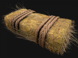 Hay Bale Square and Round 3D Model