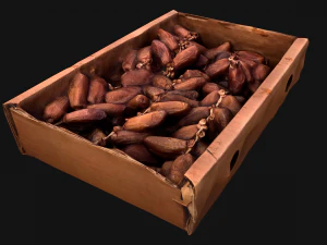 Kotak Kurma Buah Kering Model 3D