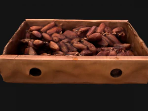 Dates Box Dried Fruits 3D Model