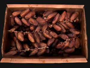 Dates Box Dried Fruits 3D Model