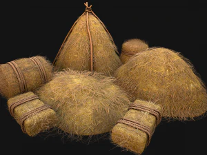 Medieval Stable Farm House 3D Model
