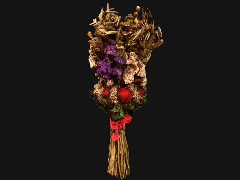 Conjunto Flores com Ervas Alquimista e Bruxa Modelo 3D