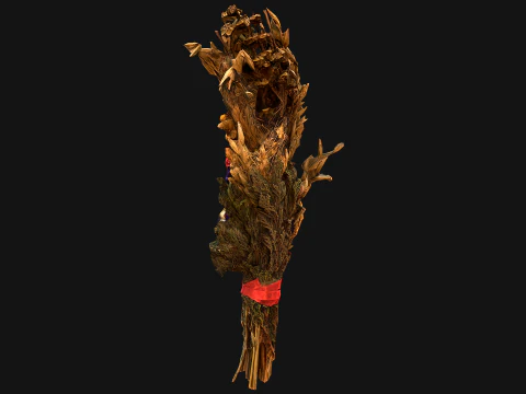 Conjunto Flores com Ervas Alquimista e Bruxa Modelo 3D