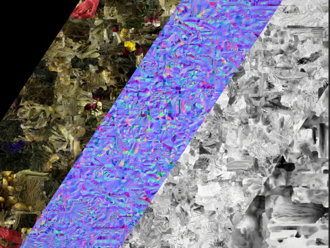 Conjunto Flores com Ervas Alquimista e Bruxa Modelo 3D