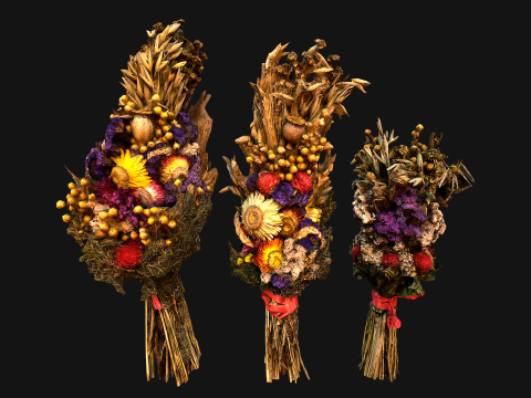 Herbarium Bouquet of Flowers and Herbs Alchemist Witch Set 3D Model