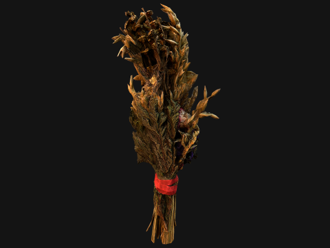 Herbarium Bouquet of Flowers and Herbs Alchemist Witch Set 3D Model