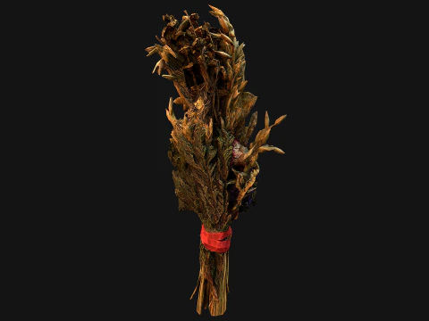 Herbarium Bouquet of Flowers and Herbs Alchemist Witch Set 3D Model