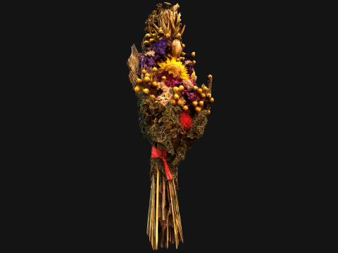 Herbarium Bouquet of Flowers and Herbs Alchemist Witch Set 3D Model