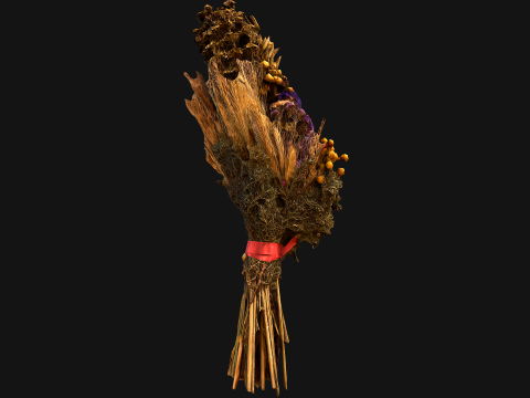 Herbarium Bouquet of Flowers and Herbs Alchemist Witch Set 3D Model