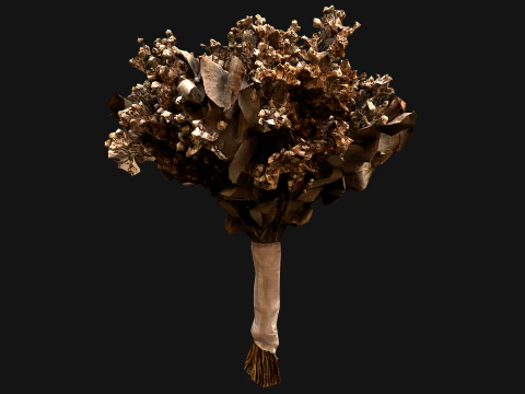 Hochzeitsstrau&szlig; Trockenblumen Braut 3D Modell