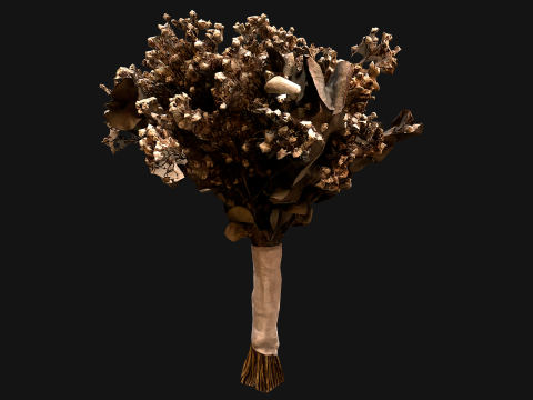 Wedding Bouquet Dried Flowers Bride 3D Model