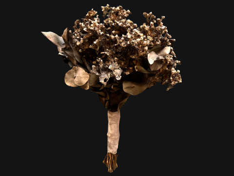 Wedding Bouquet Dried Flowers Bride 3D Model
