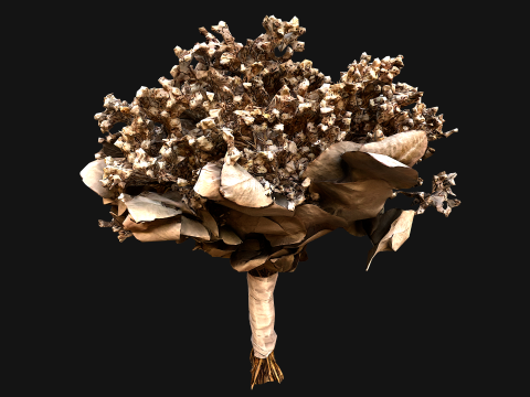 Wedding Bouquet Dried Flowers Bride 3D Model