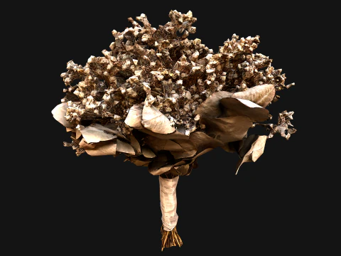 Wedding Bouquet Dried Flowers Bride 3D Model