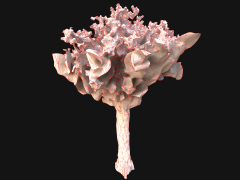 Wedding Bouquet Dried Flowers Bride 3D Model