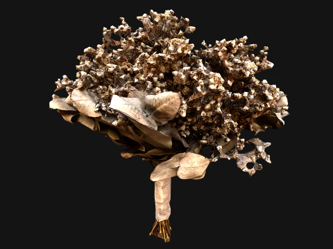 Wedding Bridal Bouquet White Roses Dried Flowers Set 3D Model